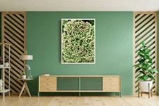 Photo Digital Image Picture Wallpaper Flowers  Background | Green JPG Wall Art
