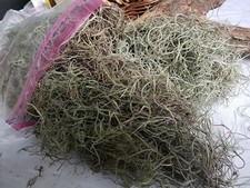 Louisiana Spanish Moss- ONE Gallon bag- From The Tree To Thee- floral decoration
