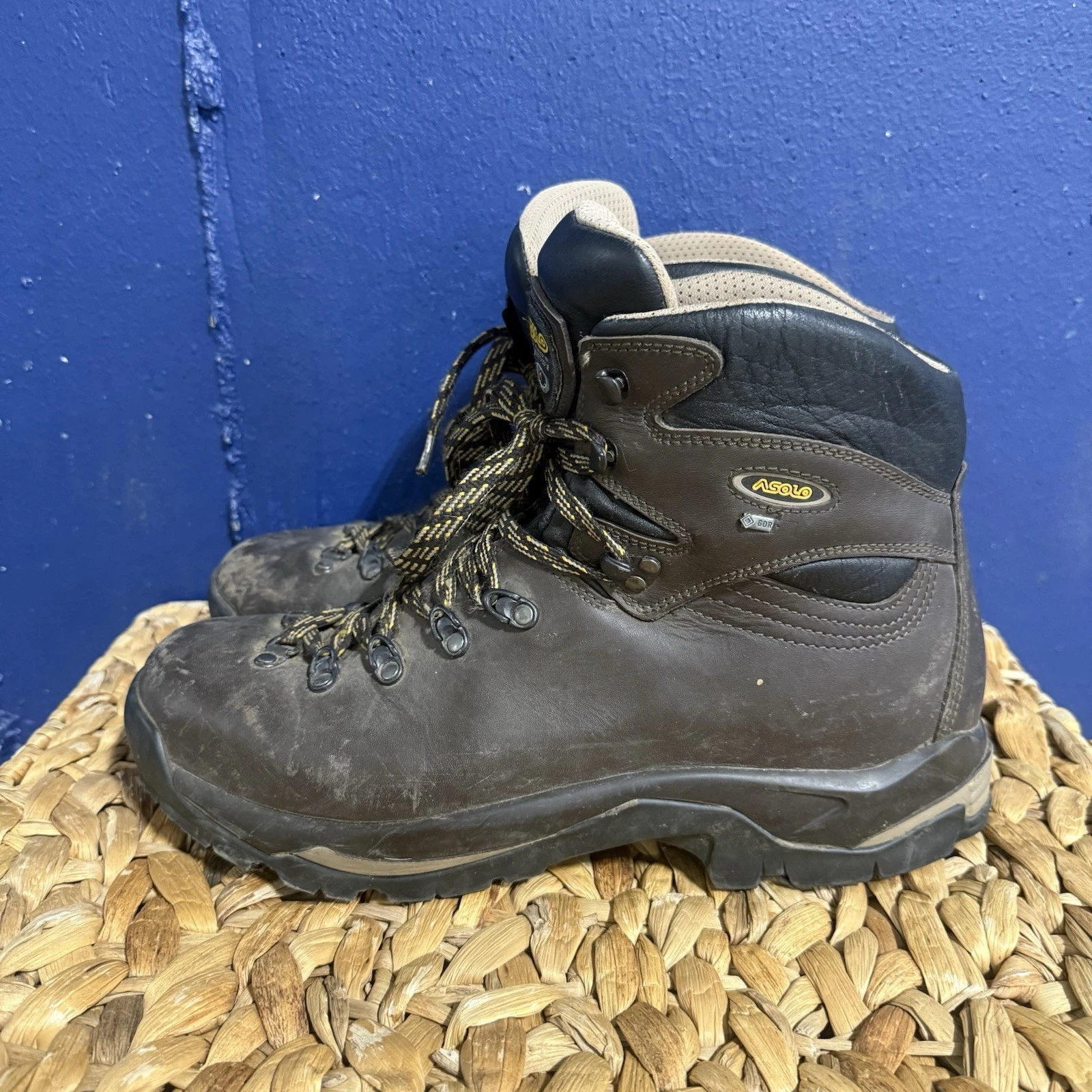 Asolo TPS 520 GV EVO Gore-Tex Hiking Boots Men’s Size US 13 – Great Condition