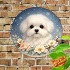 Maltese Dog 8x8 Round Aluminum Desk Sign Vintage Metal Tin Sign