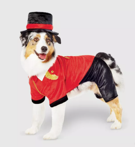 dog flash costume