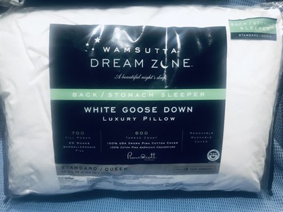 bael wellness sciatica