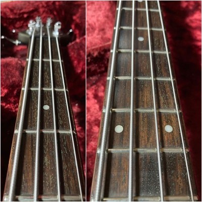 Ergodyne EDB500 (樹脂ボディ、アクティブPU) Ibanez EDB500 ELGODYNE Ibanez Ergodyne Active | eBay