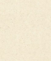 Rasch Vliestapete 520835 Tapete Putz Optik Beton Creme (4,02€/1Qm)
