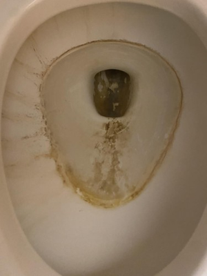 #ad 2 Pack Pumice Cleaning Stones for Toilets amp; Sinks Effective Hard Water Remover $45.99