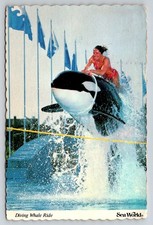 1983 Sea World Shamu Orca Whale Trainer Ride Vintage Postcard Orlando FL