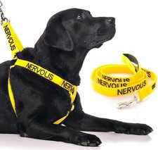 NERVOUS (Give Me Space) Yellow Colour Coded Non-Pull Dog Harness and 60cm 1.2m