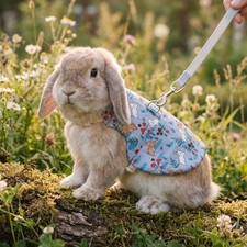 Adjustable Guinea Pigs Vest Flower Pattern Rabbit Leash Set  Small Pets Walking