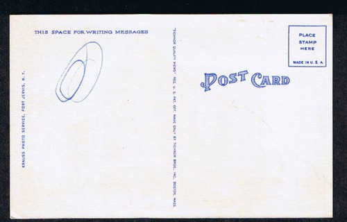 THE MINISINK HOTEL PORT JERVIS NY CARTOLINA LINO NEW YORK ISOLA LUNGA TICHNOR - Foto 2 di 2