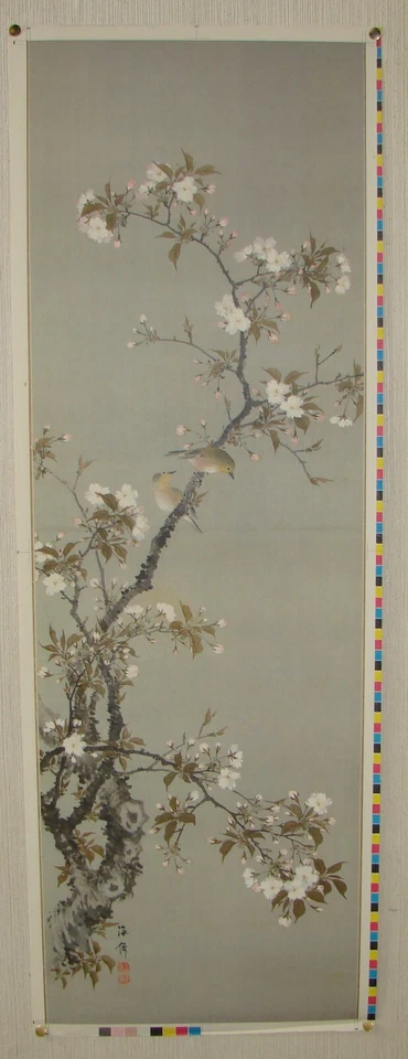 Cherry Blossoms with Birds by Oda Kaisen 小田海僊 | Print  #1004 - Image 2 of 4