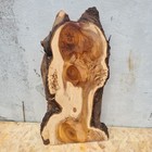 Bild 211 von 219