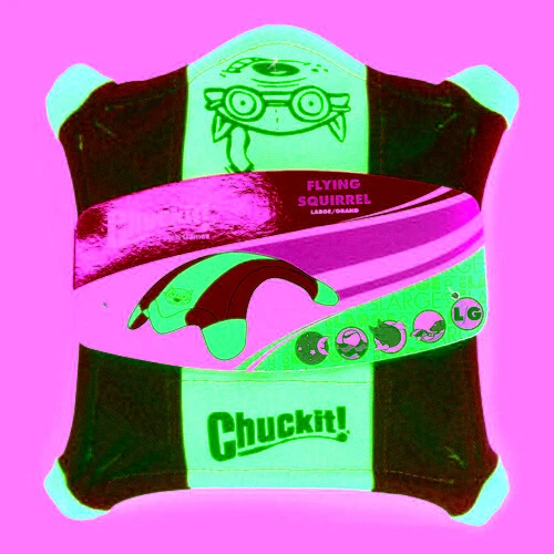 Chuck it store flying squirrel