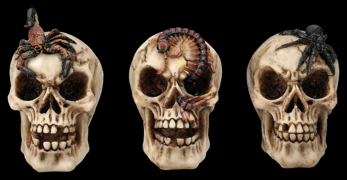 Totenkopf 3-Piece Set Skull Figures Spider Scorpion Centipede