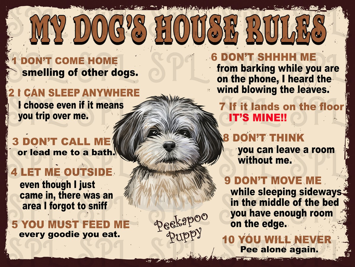 My Bed My Puppy Will Not Stop Peeing In The House Puppy Peeing On