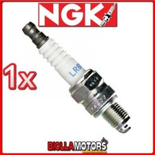 1 CANDLE NGK LR8B KTM SX 65CC 2008- LR8B