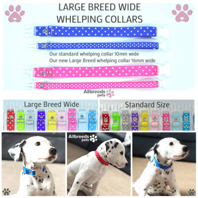 puppy whelping collars