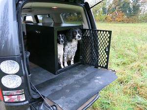 gun dog box