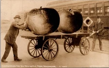 1907 RPPC Expressing the Big Red Apple from Washington I W Dykes