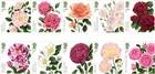 GB 2026 ROSES MINT STAMPS MNH *SPECIAL PRICE*