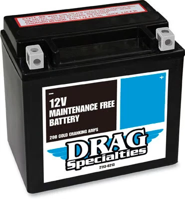 Batería AGM Drag Specialties para Harley 04-16 Sportster XL DTX14L-BS 2113-0213 Foto 2 de 4
