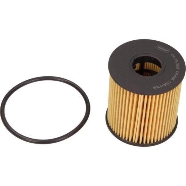 Maxgear 26-0193 ÖLfilter FüR Peugeot Citroen Ford Mini Land Rover Fiat Volvo-image