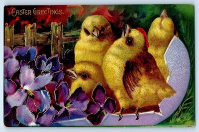 c1910s Easter Greetings Chicks Hatched Egg And Flowers Embossed Antique Postcard