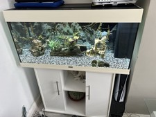 Juwel Rio 180 LED Aquarium and Cabinet in White