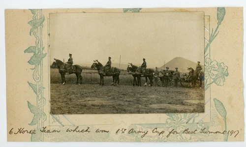 Horse Team won 1st Army Cup Best Turnout 1917 Military  RPPC ww1 Postcard
