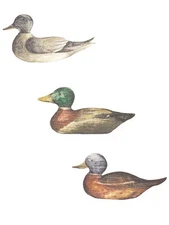 Duck Decoy 25 Mallard Duck Wooden Wood Wallies Stickers Any Surface Wall Decals