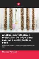AnáLise MorfolóGica E Molecular Do Trigo Para Avaliar A ResistêNcia à Seca Buch