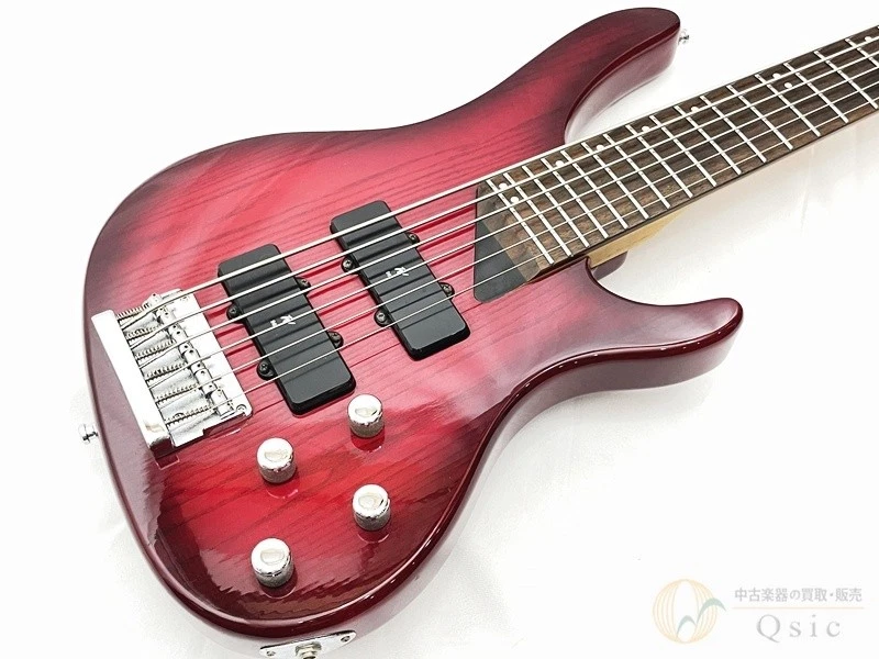 Washburn Tremor 5弦エレキベース Preços baixos em Guitarra baixo elétrico Washburn Violões | eBay