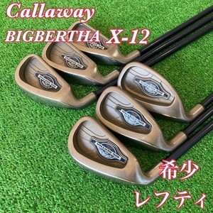 Callaway Big Bertha X12 Iron Set | eBay