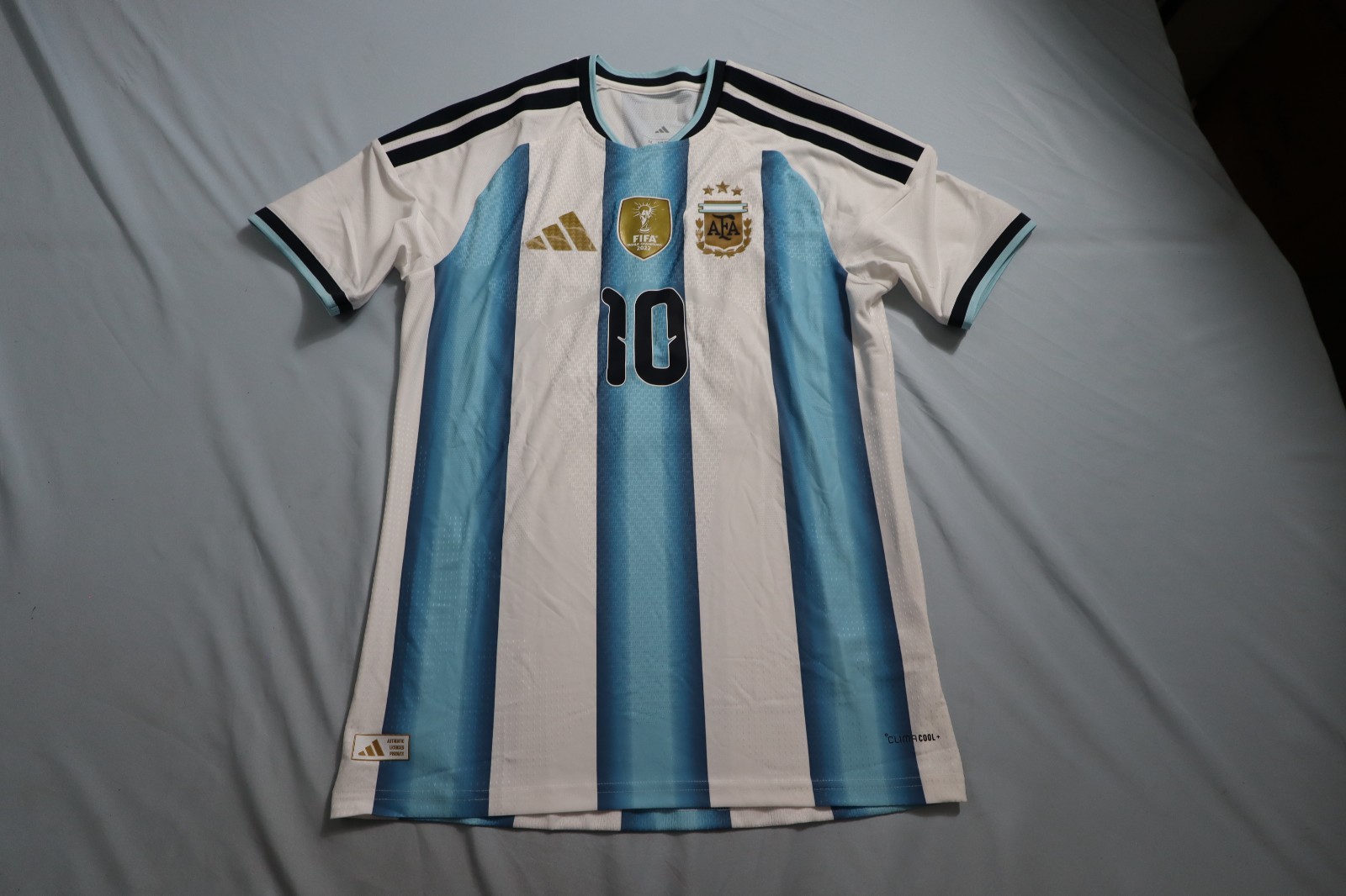 Argentina Messi #10 Men's M Authentic Home World Cup Soccer Jersey