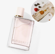 Burberry Her by Burberry 3.3 oz EDP Perfume for Women | New & Sealed Box!