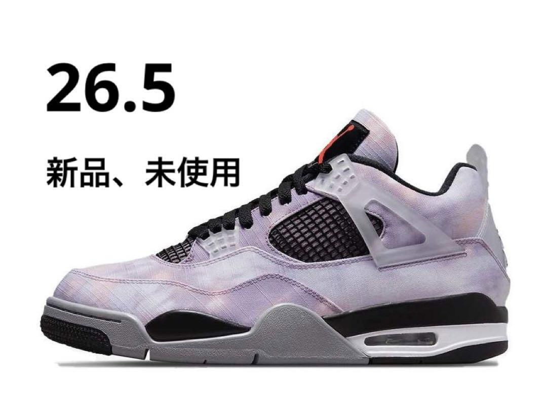 NIKE Air Jordan 4 Retro SE