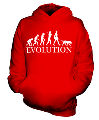 KUVASZ EVOLUTION OF MAN KINDER HOODIE JUNGEN HOODY MÄDCHEN HUNDELIEBHABER GESCHENK