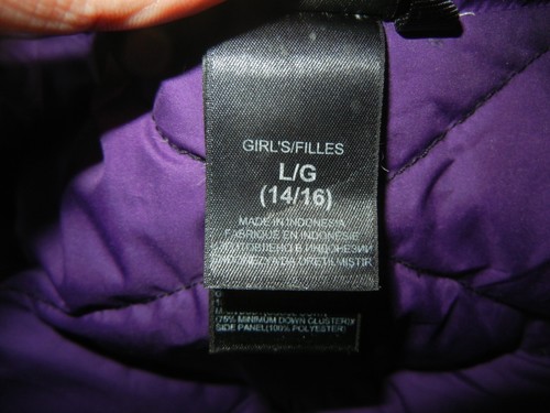 THE NORTH FACE Black Warm 550 GOOSE DOWN WINTER JACKET Puffer Ski Coat YOUTH L - Picture 5 of 10