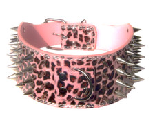 petco spiked collar