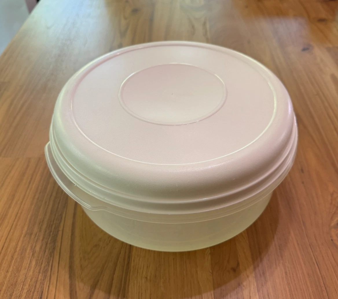 RUBBERMAID #5 SERVIN SAVER ROUND 22 CUP STORAGE CONTAINER BOWL W/ LID