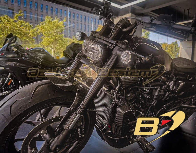 SportSter S carbon fiber