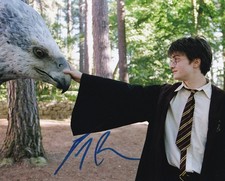 DANIEL RADCLIFFE signed autograph 20x25cm HARRY POTTER in person autograph ACOA