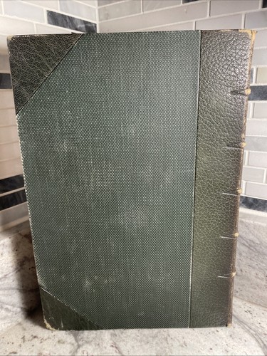 Antique Illustrated Flora Of The Northern States And Canada Vol III 1898 - Picture 3 of 7