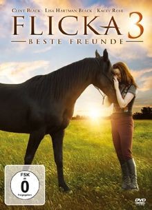 Flicka 3 von Michael Damian | DVD | Zustand akzeptabel