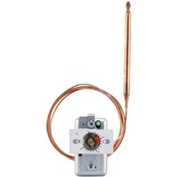 Jumo 60000924 Temperaturbegrenzer 0 Bis 150 °C