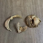 Vintage Monet Lot of 3 Gold Tone Brooches Pins Bee Costume Jewelry