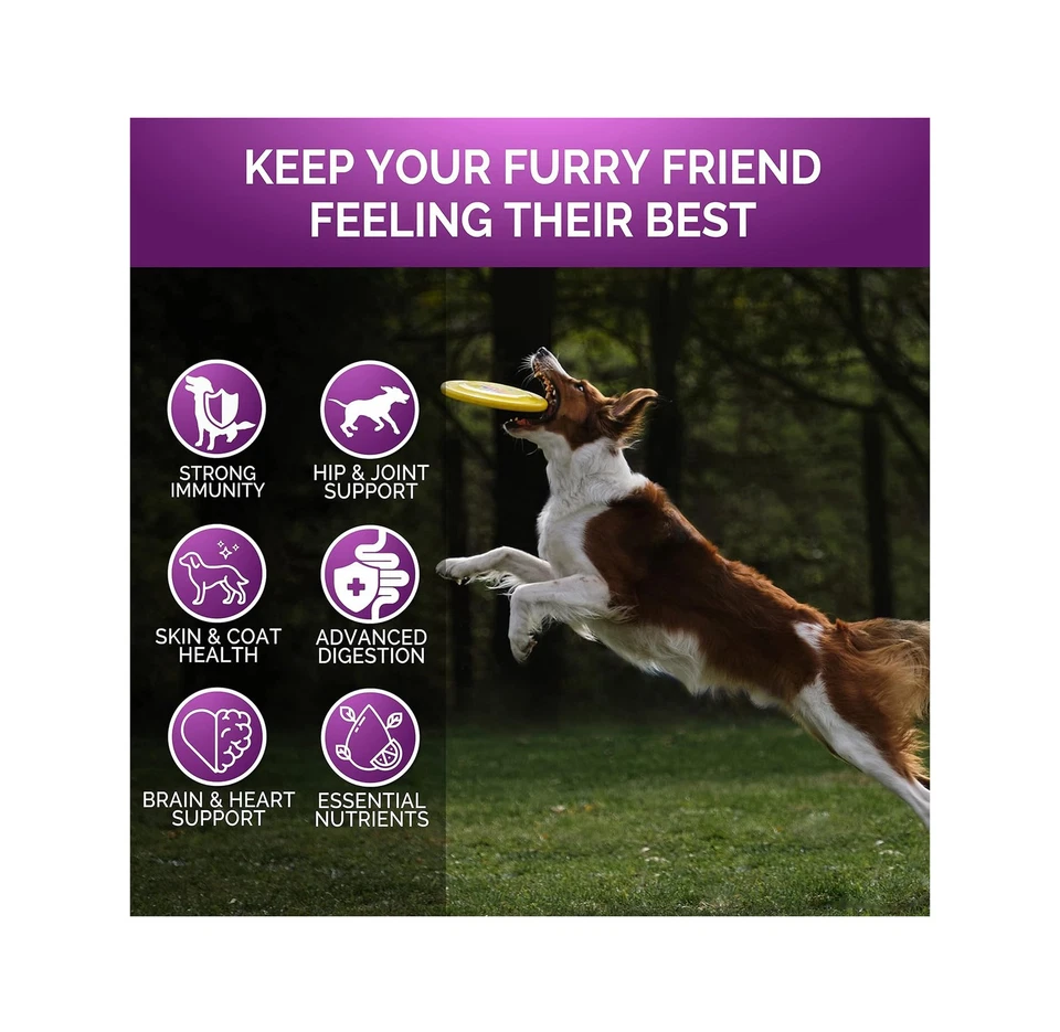 Dog Multivitamin Chewable with Glucosamine Vitamins for Senior & Puppy 120 Chews - Image 3 of 4