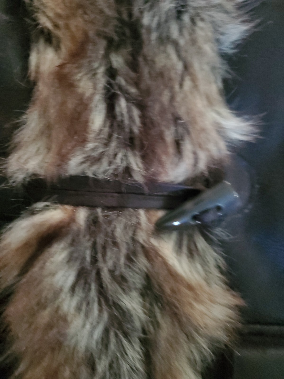 Picture 4 of 10