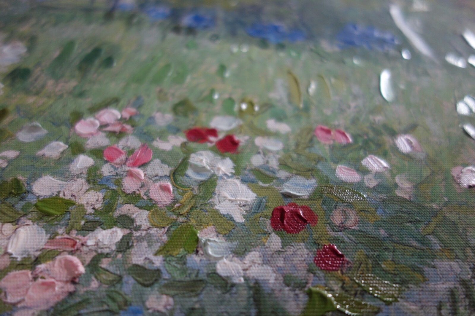 Bild 8 von 12