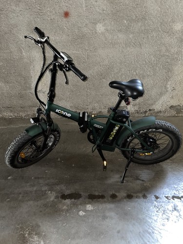 Bici Elettrica ICONE Marines 250W | eBay