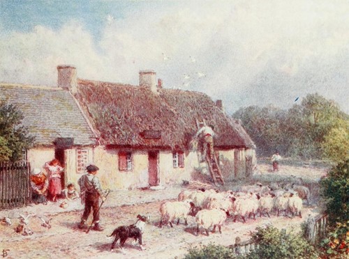 * SCOTLAND 600+ IMAGES PHOTOGRAPHS GRAPHICS PAINTINGS on DVD * HISTORICAL VTG - Picture 10 of 12